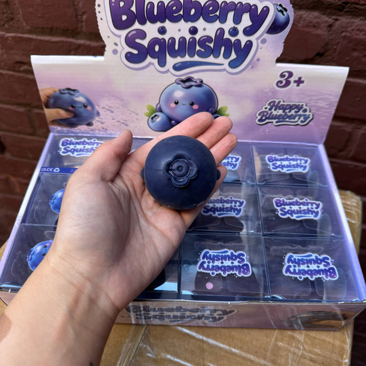 Crunchy Blueberry Squishy 12/pk | A150