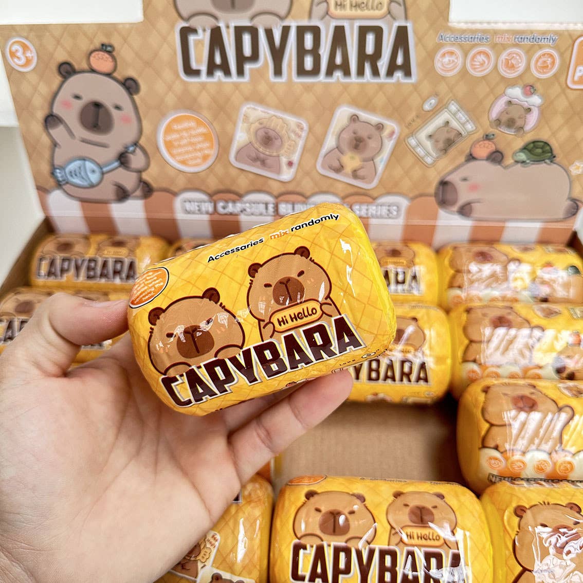 Capsule Capybara Blind Box 16pcs Set