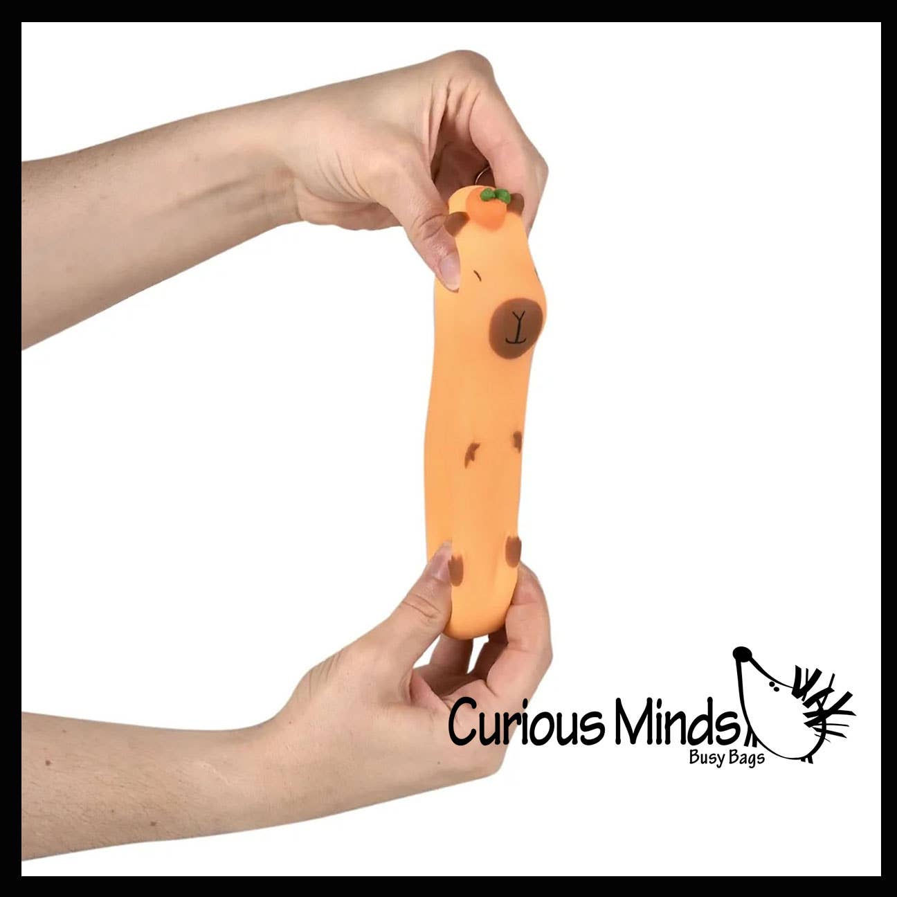 1 Capybara Stretchy Sand Filled - Lover Sensory Fidget Toy W