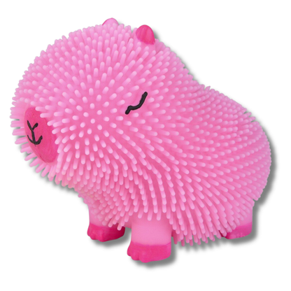 Assorted squeezy Capybara Colourful Puffer