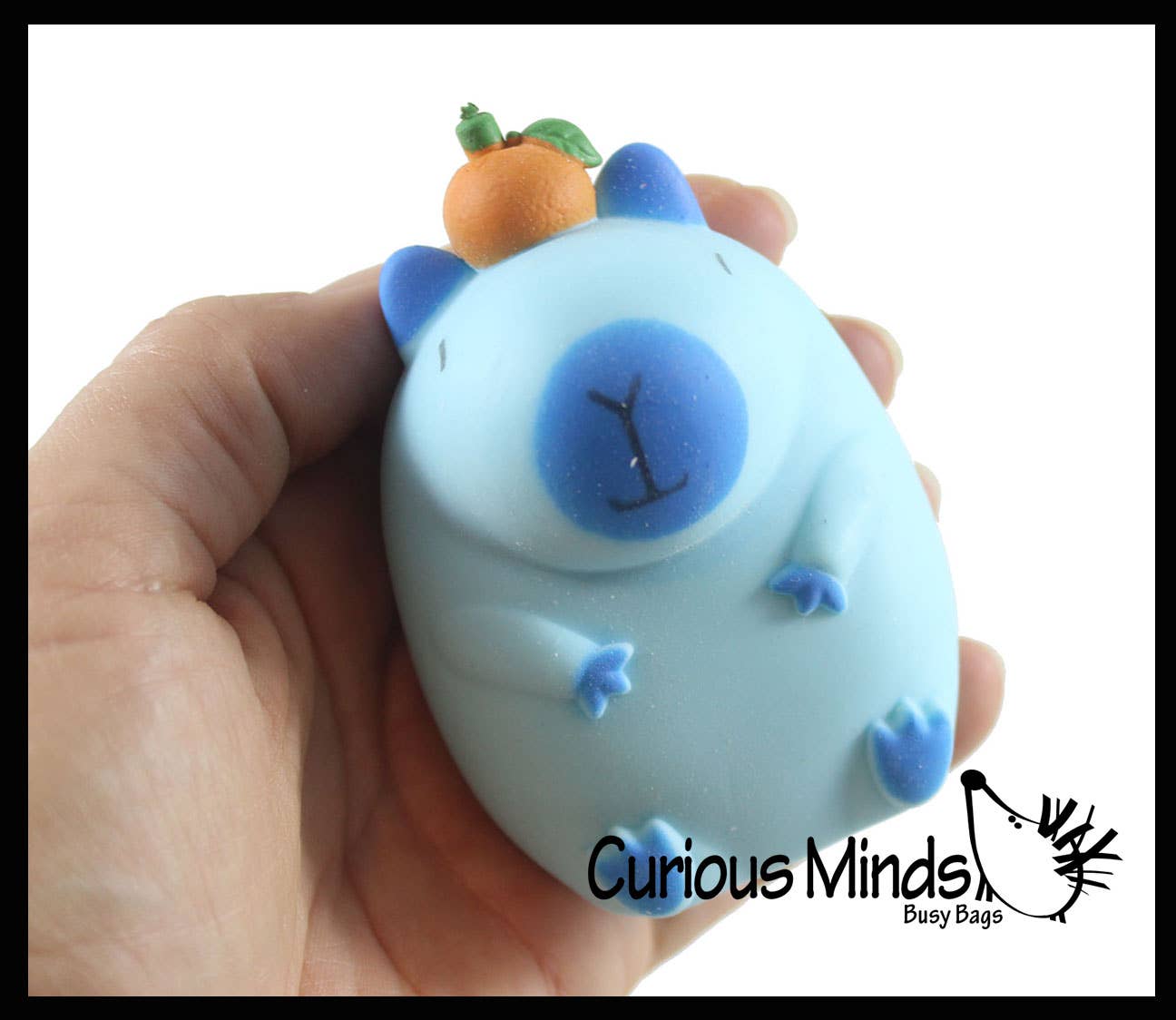 1 Capybara Stretchy Sand Filled - Lover Sensory Fidget Toy W