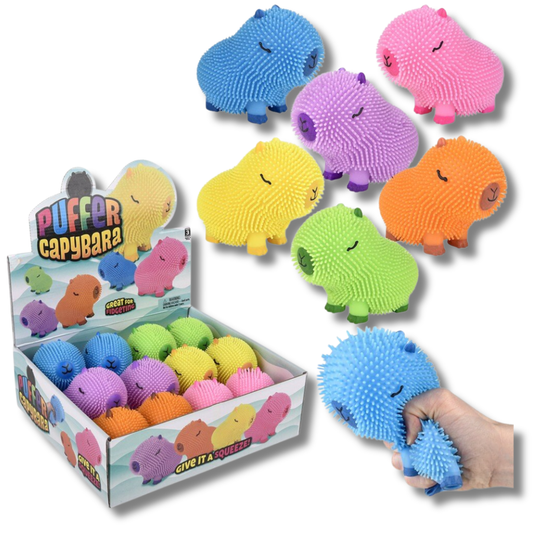 Assorted squeezy Capybara Colourful Puffer