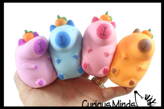 1 Capybara Stretchy Sand Filled - Lover Sensory Fidget Toy W