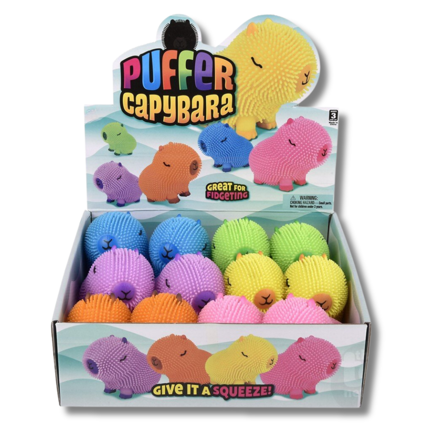 Assorted squeezy Capybara Colourful Puffer