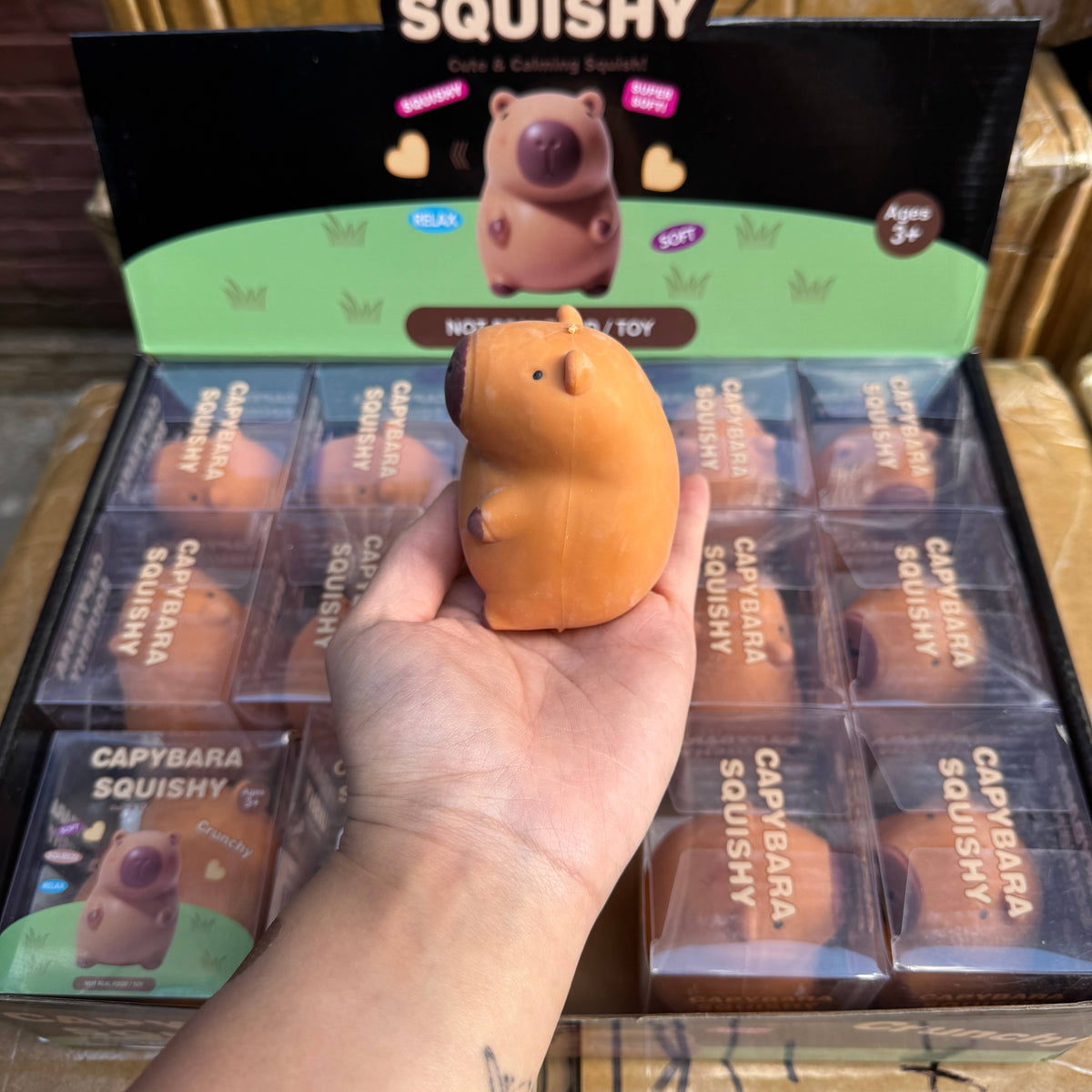 Crunchy Capybara Squishy 15/pk | A082