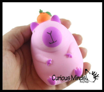 1 Capybara Stretchy Sand Filled - Lover Sensory Fidget Toy W