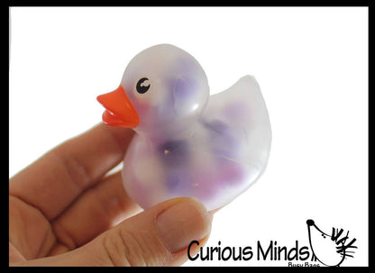 1 Pom Pom Filled Regular 2" Rubber Ducks - Rubber Duckies -