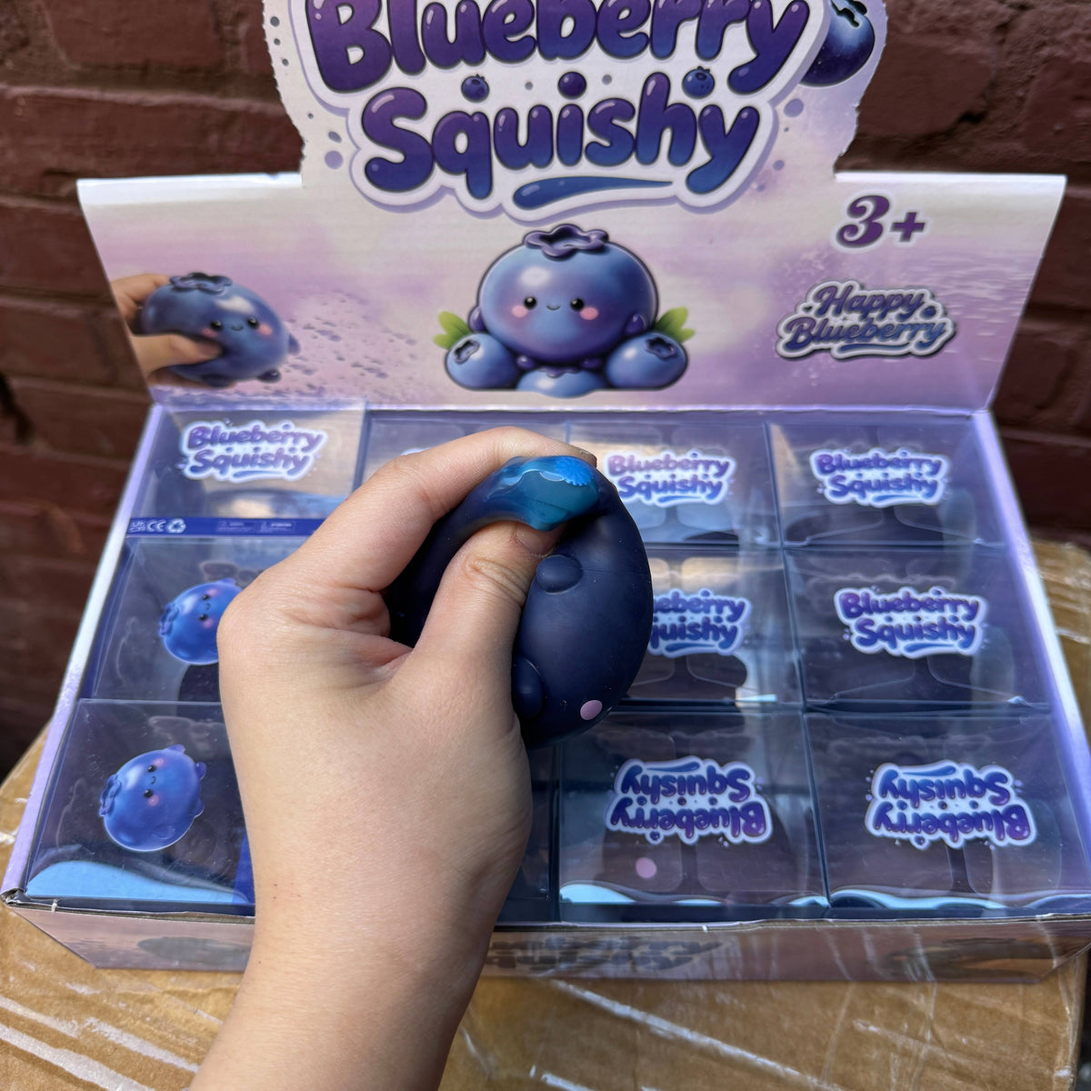 Crunchy Blueberry Squishy 12/pk | A150