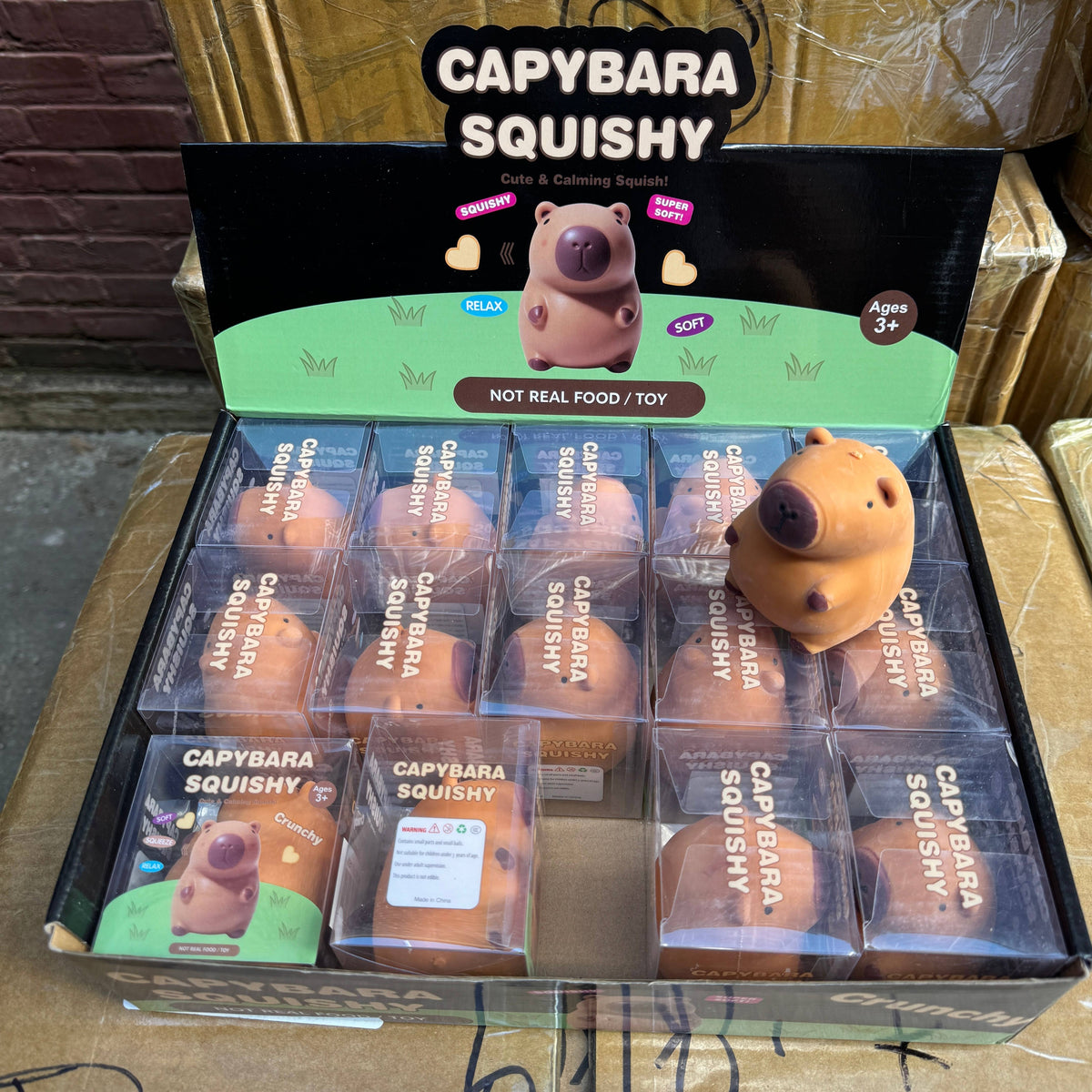 Crunchy Capybara Squishy 15/pk | A082