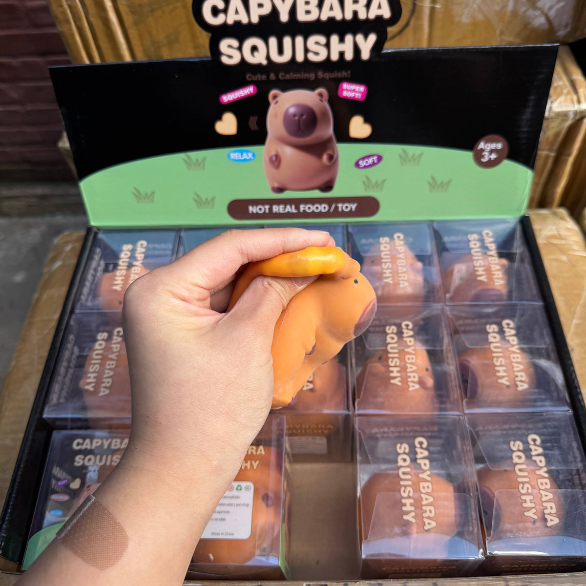 Crunchy Capybara Squishy 15/pk | A082