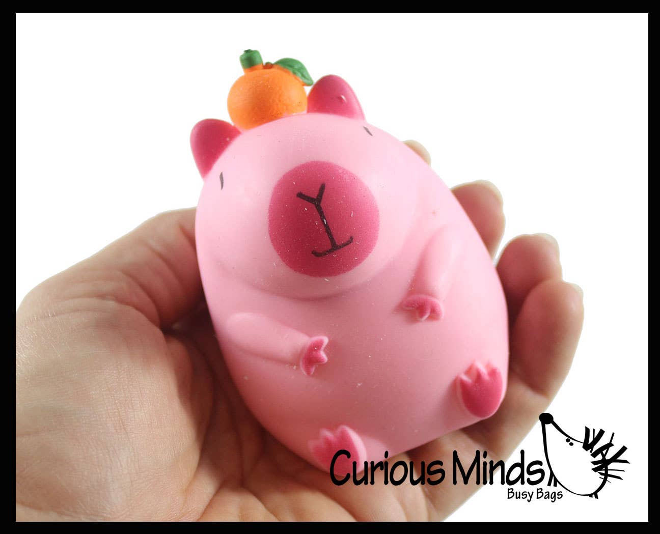 1 Capybara Stretchy Sand Filled - Lover Sensory Fidget Toy W