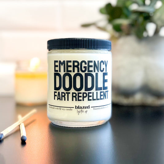 Emergency Doodle Fart Repellent Candle