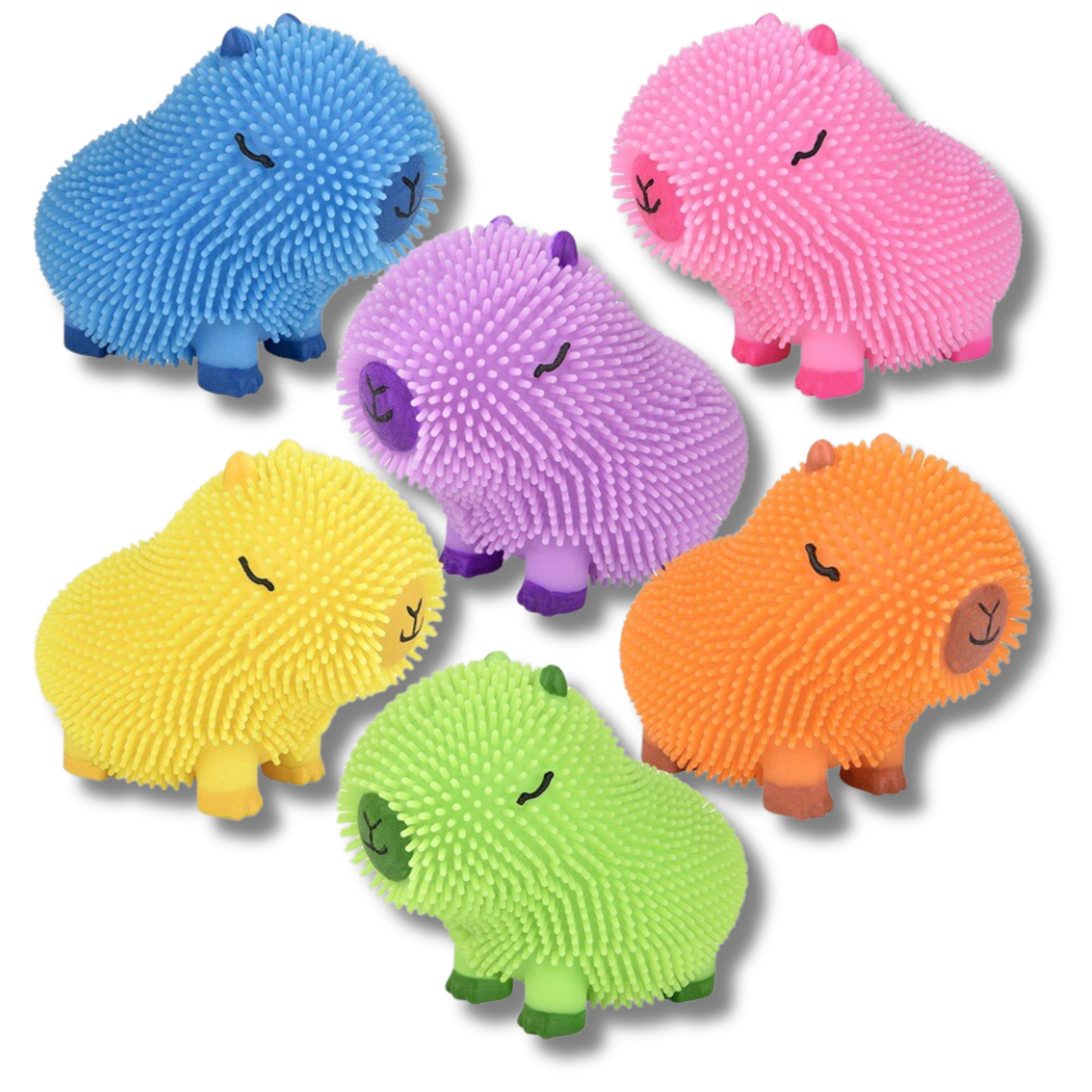 Assorted squeezy Capybara Colourful Puffer