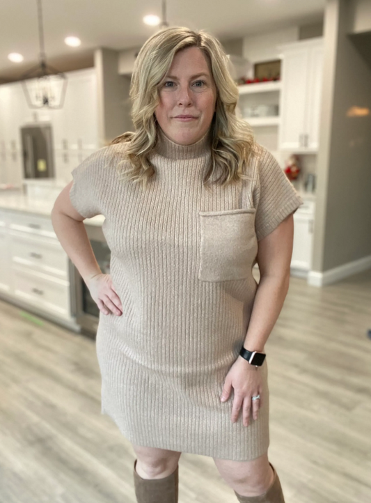 Sweater Dress- Beige|8154