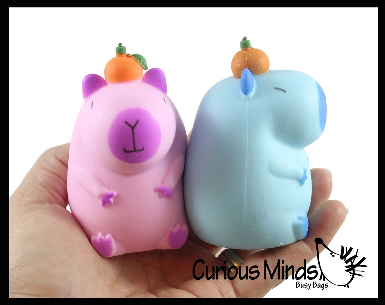 1 Capybara Stretchy Sand Filled - Lover Sensory Fidget Toy W