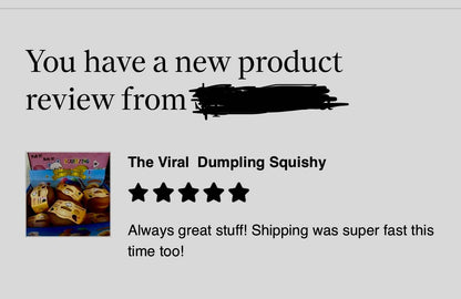 The Viral Mystery  Dumpling Squishy 