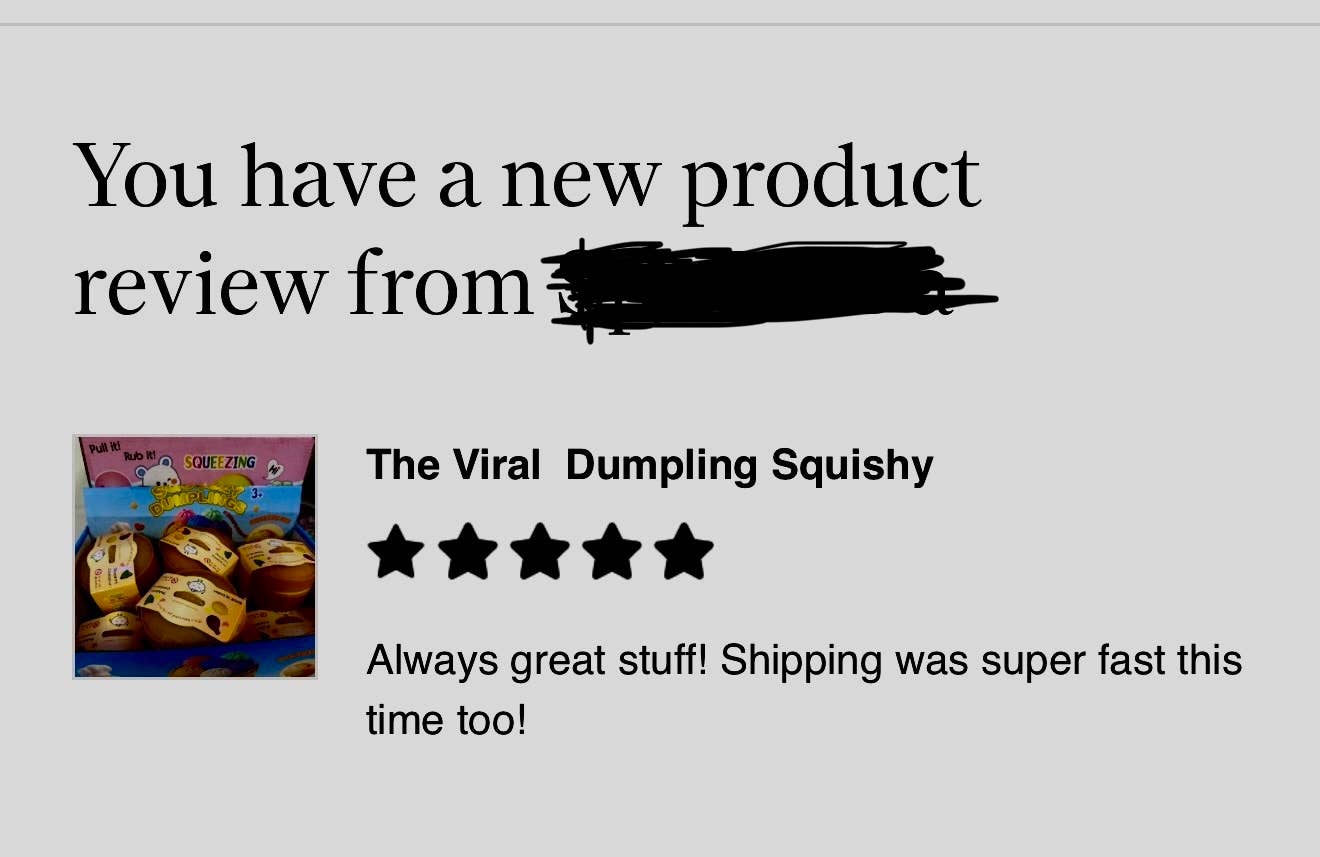 The Viral Dumpling Squishy - Glitter Edition