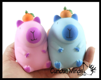 1 Capybara Stretchy Sand Filled - Lover Sensory Fidget Toy W